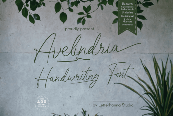 Avelindria: A Refined Script That Earns Its Space