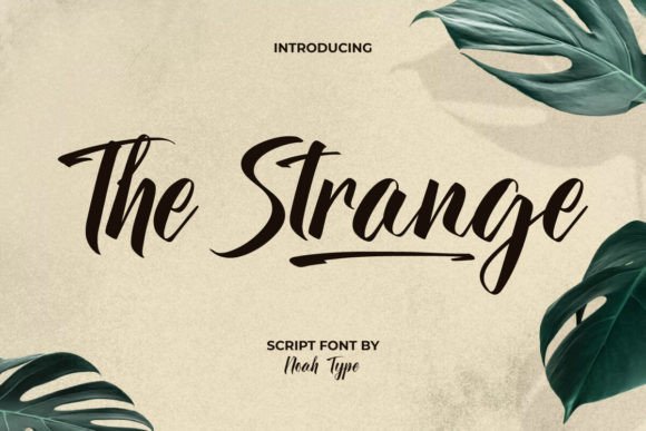 The Strange Font: A Bold Brush Script for Handmade Brands